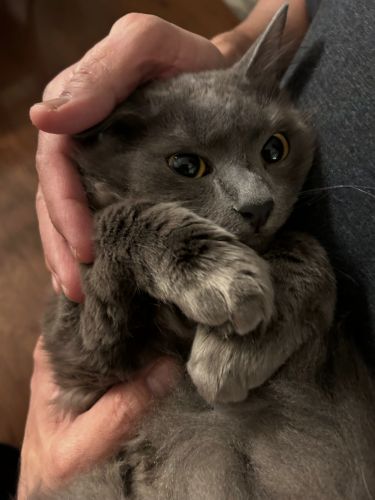 Sweet cutie Thor